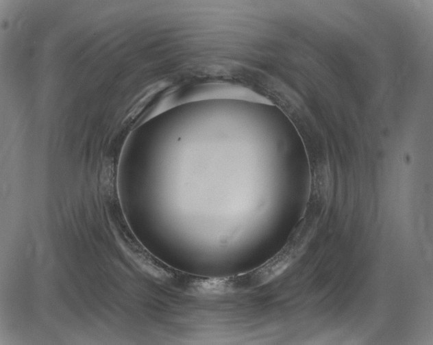 X0000085240092200703091228
