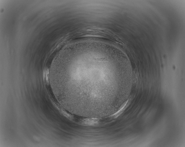 X0000085240094200703091228