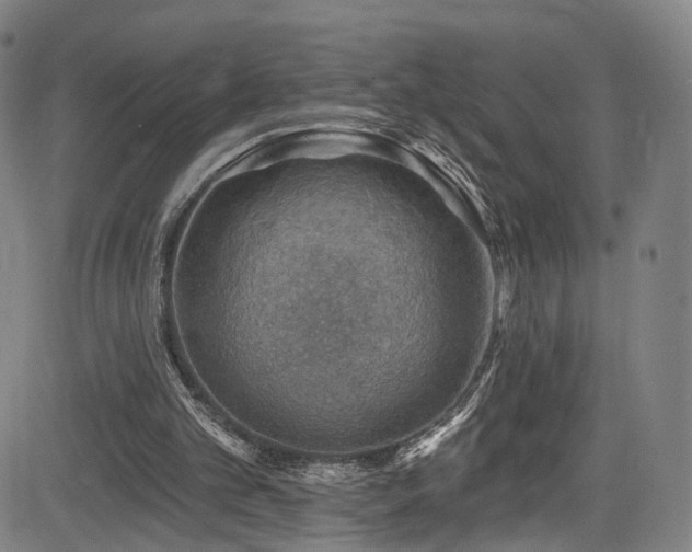 X0000085240101200703091227