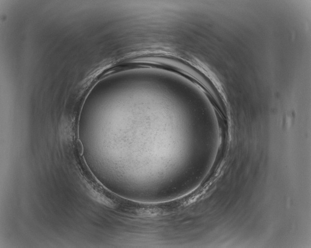X0000085240105200703091227