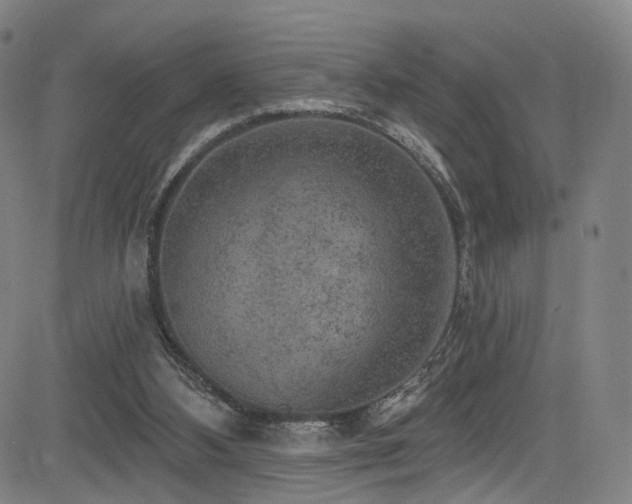 X0000085240108200703091227