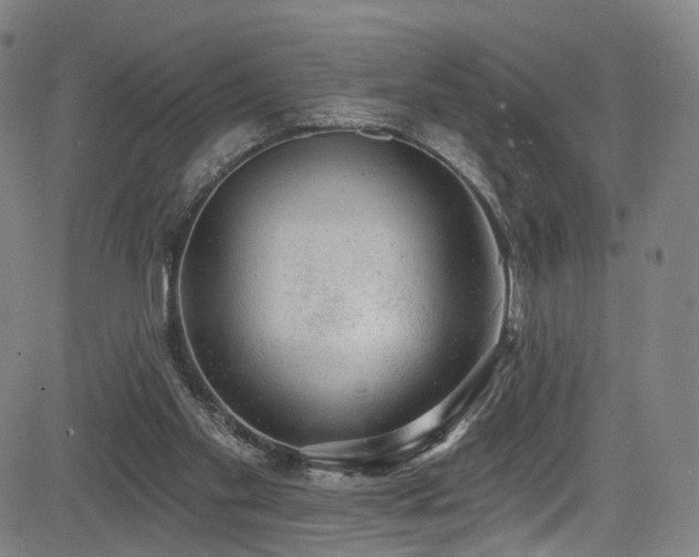 X0000085240109200703091227