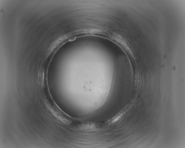 X0000085240110200703091227