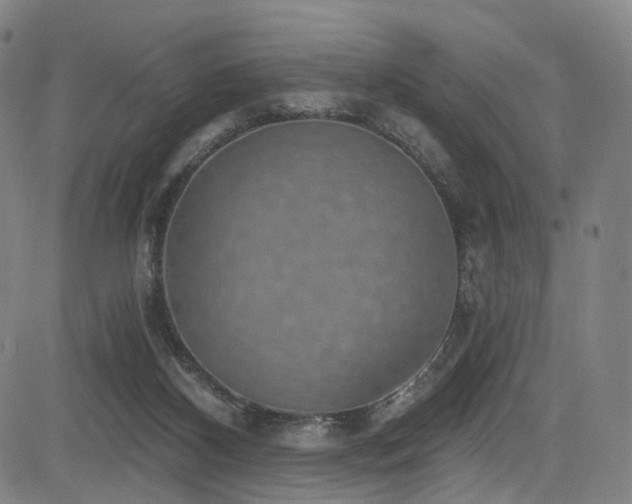 X0000085240116200703091227