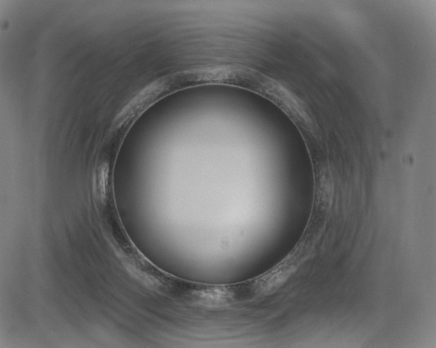 X0000085240118200703091227