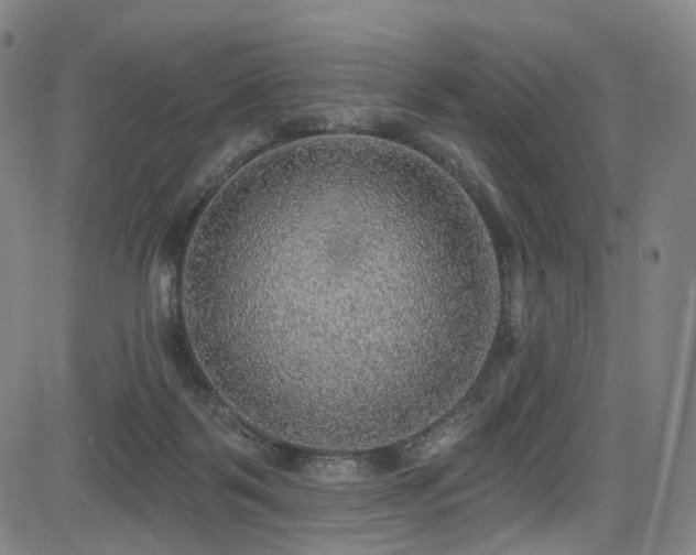X0000085240123200703091227