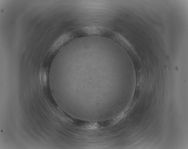 X0000085240124200703091227