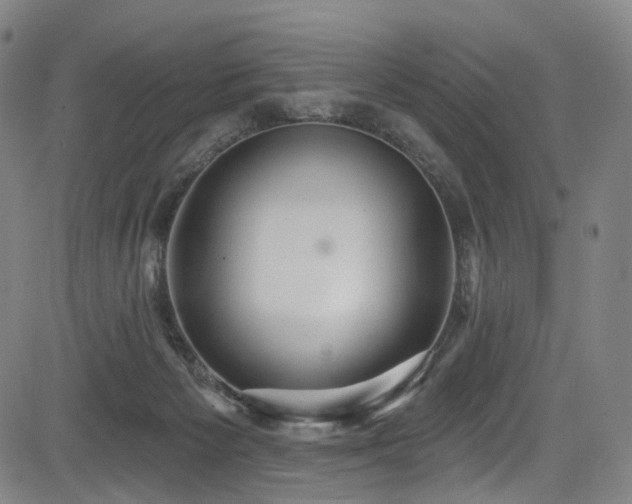 X0000085240125200703091227