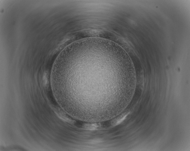 X0000085240131200703091226