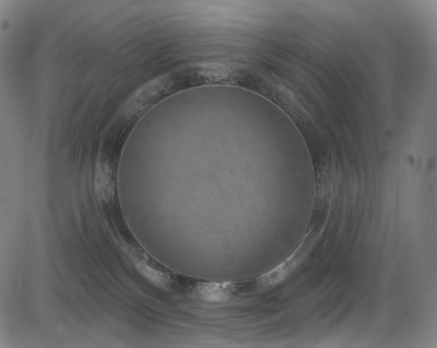 X0000085240136200703091226