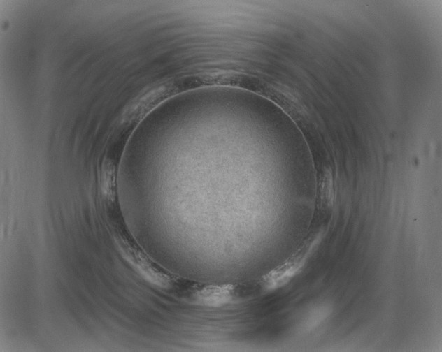 X0000085240138200703091226