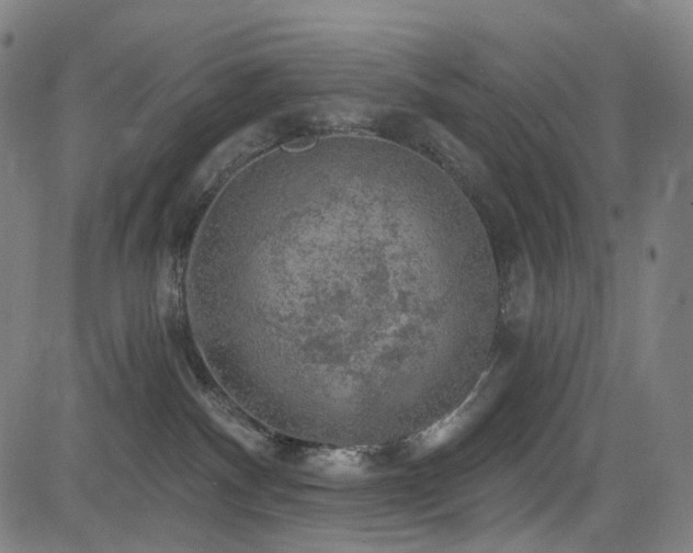 X0000085240140200703091226