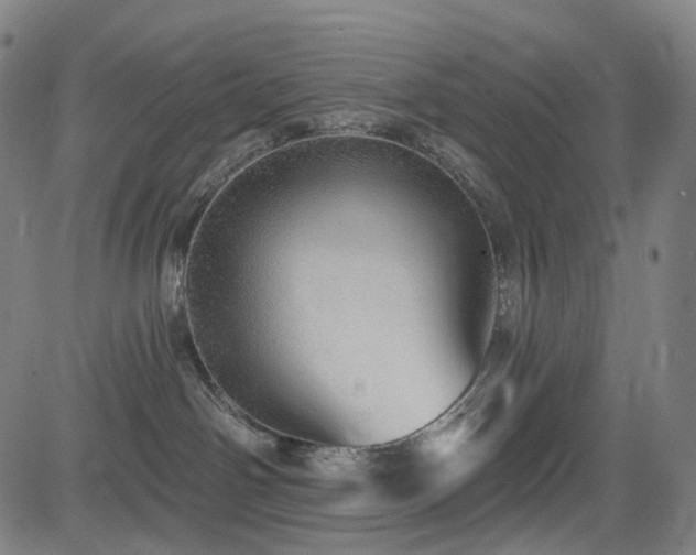 X0000085240142200703091226