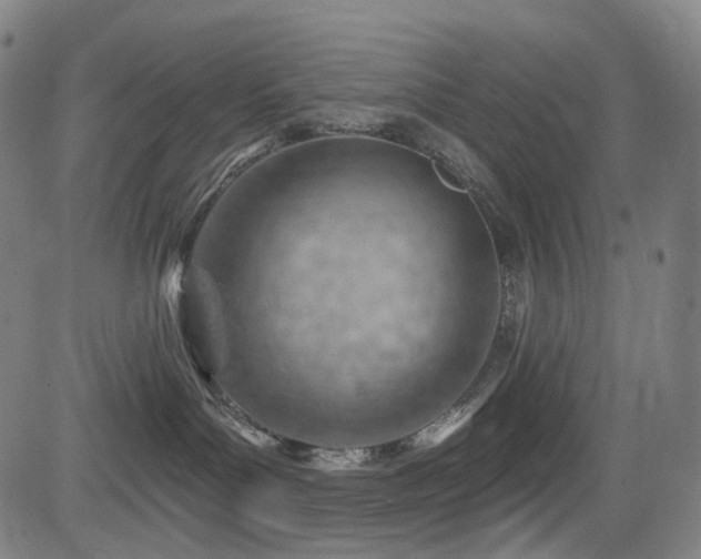 X0000085240143200703091226