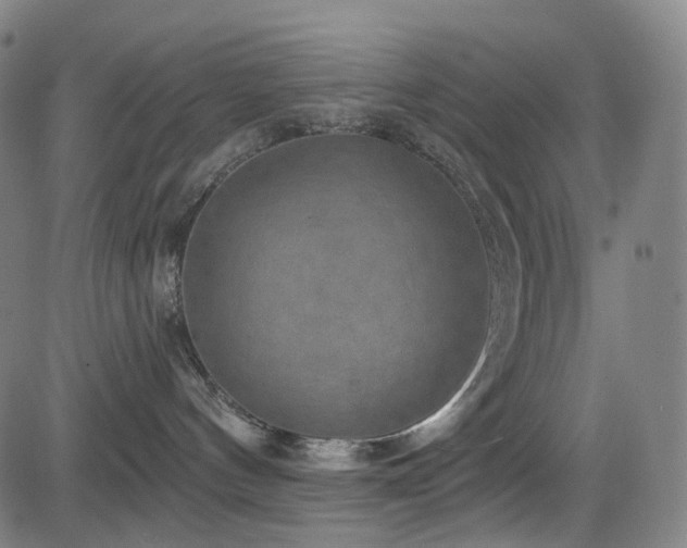 X0000085240144200703091226