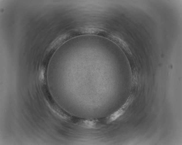 X0000085240166200703091226
