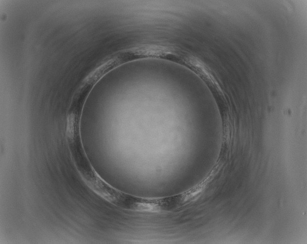 X0000085240167200703091226