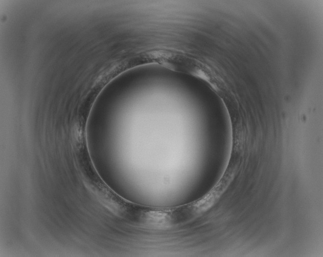 X0000085240176200703091226