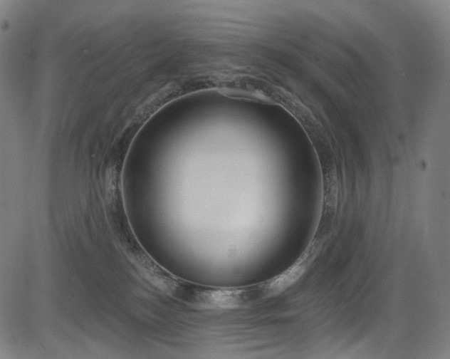 X0000085240184200703091226