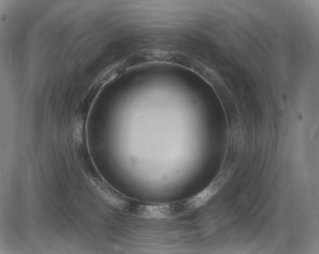 X0000085240188200703091226