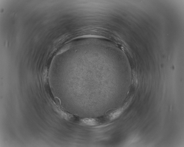 X0000085240189200703091226