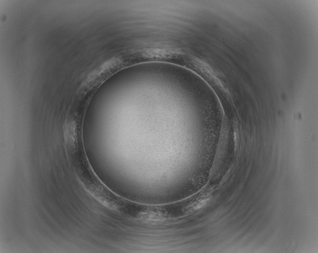 X0000085240211200703091225