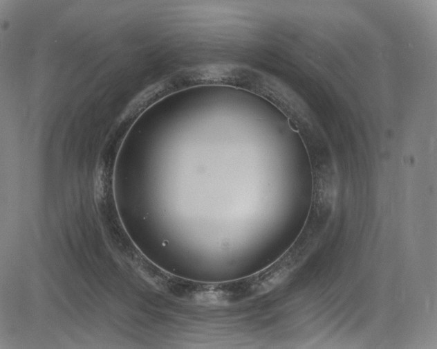 X0000085240216200703091225