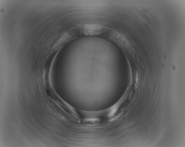 X0000085240219200703091225