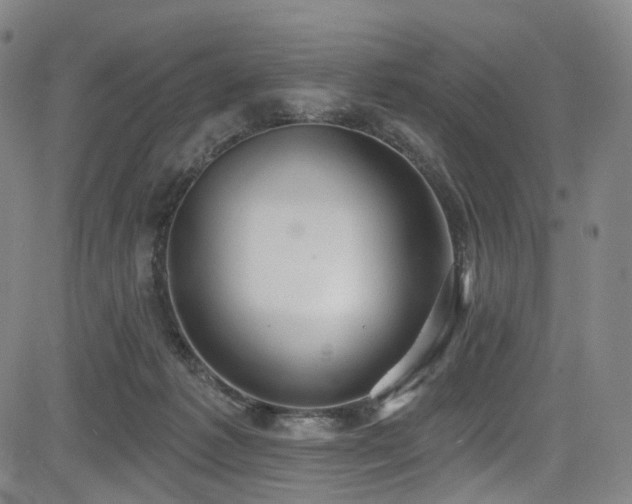 X0000085240221200703091225