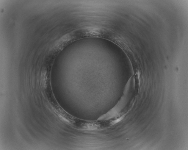 X0000085240223200703091225