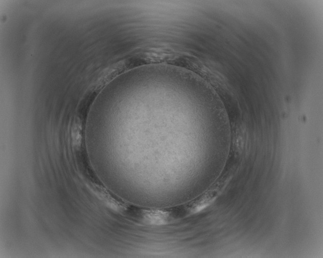 X0000085240226200703091225