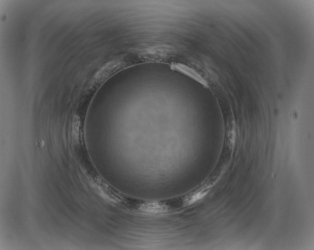 X0000085240231200703091225