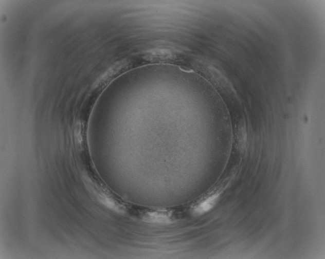 X0000085240232200703091225