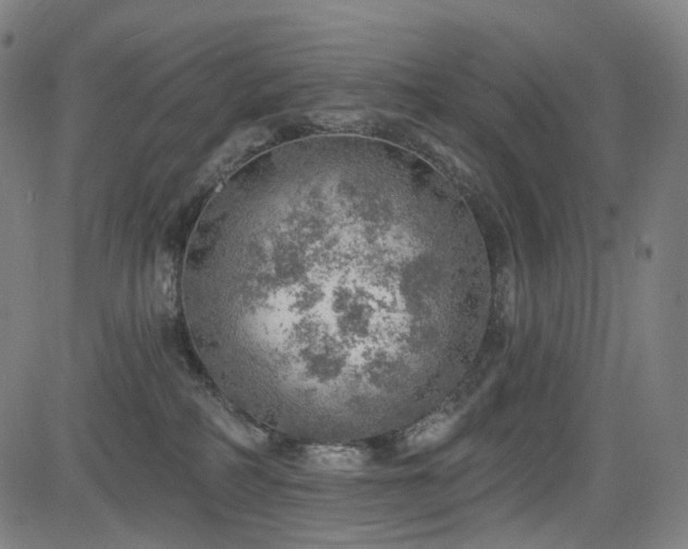 X0000085240234200703091225