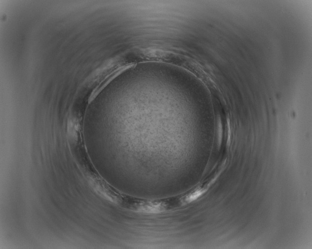 X0000085240235200703091225