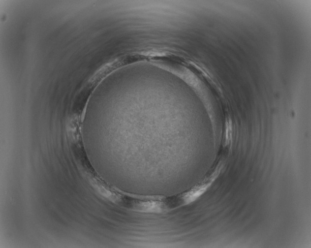 X0000085240237200703091225
