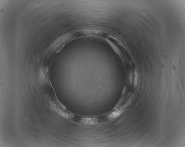 X0000085240239200703091225