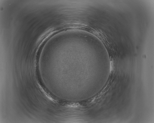 X0000085240243200703091224