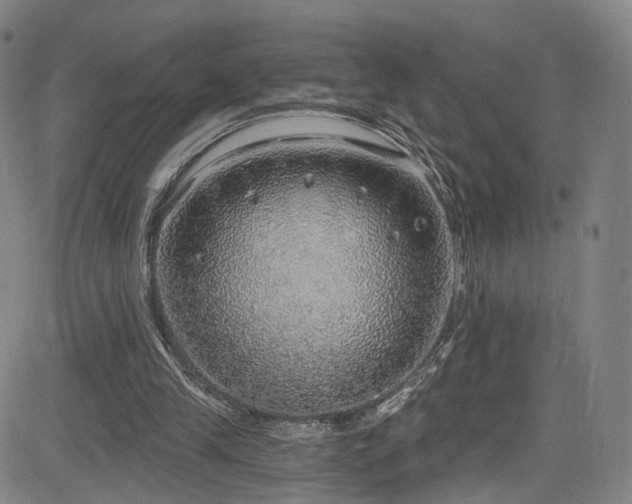 X0000085240245200703091224