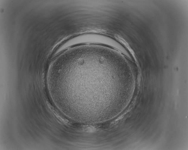 X0000085240249200703091224