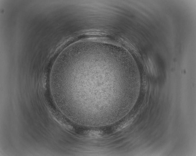 X0000085240255200703091224
