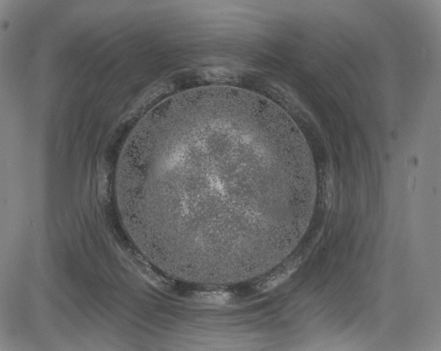 X0000085240266200703091224