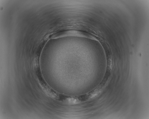 X0000085240272200703091224