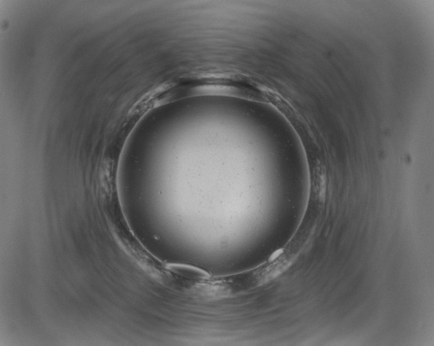 X0000085240280200703091225