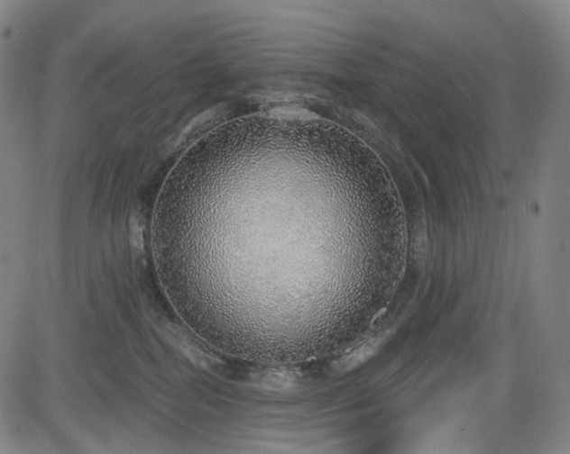 X0000085240282200703091225