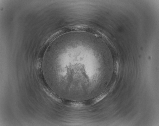 X0000085240284200703091225