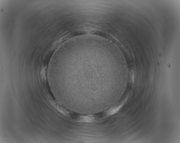 X0000085240286200703091225