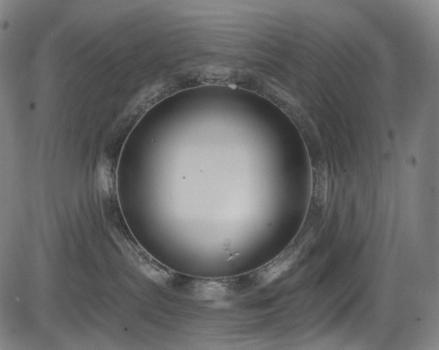 X0000085240287200703091225