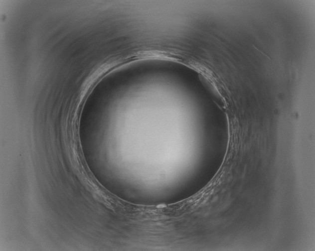 X0000085240289200703091224