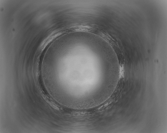 X0000085240291200703091224